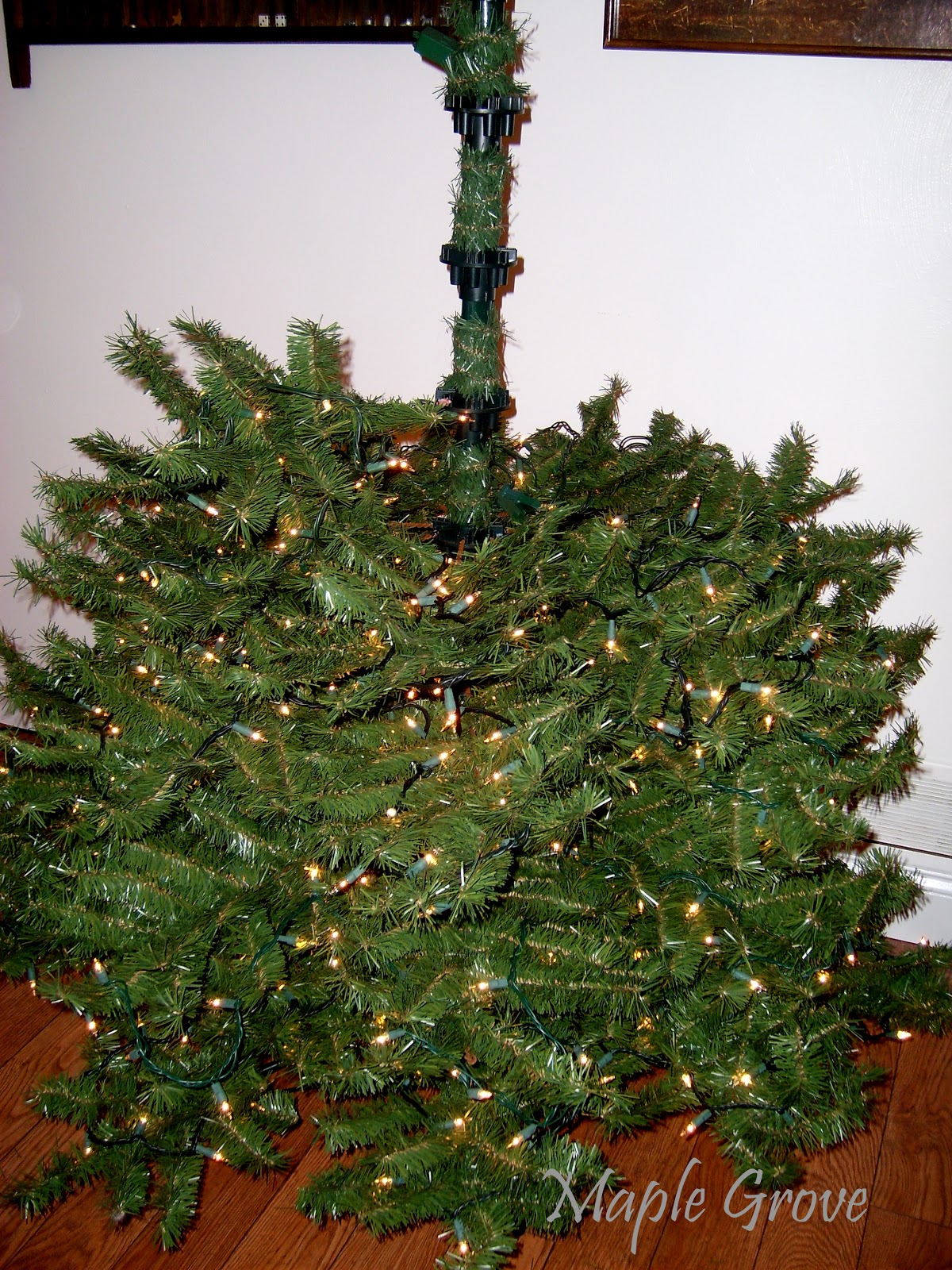 Maple Grove Christmas Decorating Series Part 2 Putting Up a Tree