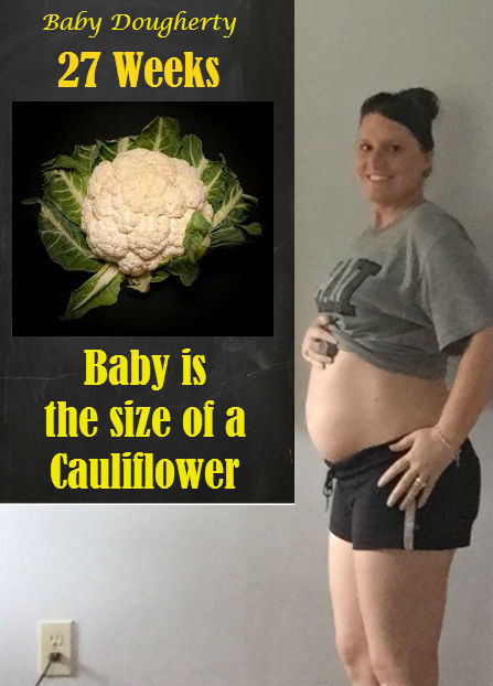 baby dougherty 27 weeks size of baby at 27 weeks