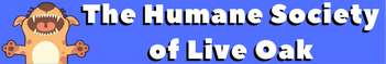 Humane Society of Live Oak