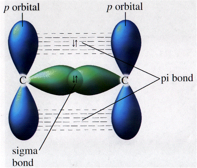 sigma bonds sigma bonds