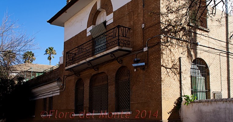 FlorodelMonte La Cárcel de la Ranilla. Sevilla 1