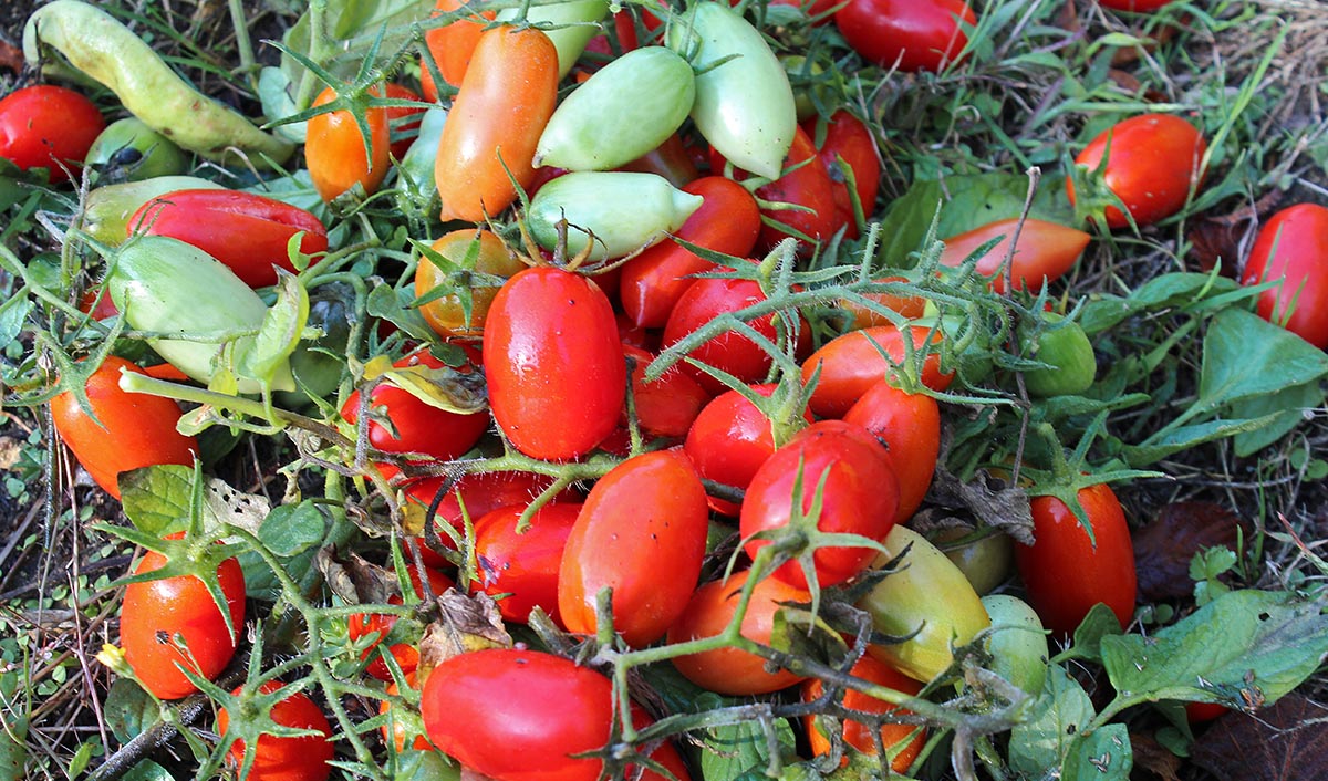 lettre remerciement rencontre