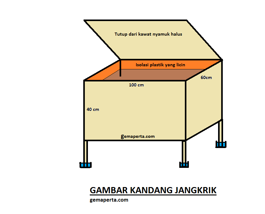 Cara Beternak Jangkrik Terlengkap | Area Download Game Android