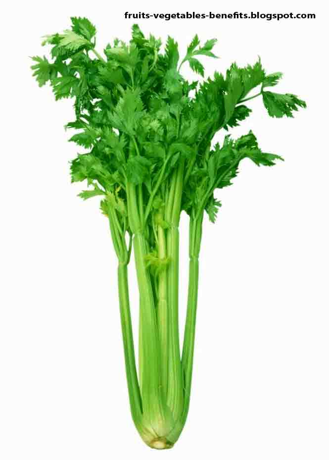 Fruits & Vegetables Benefits benefits of juicing celery