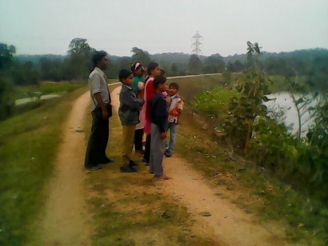 The City Dweller And The Tiger Activity Update January 2014 Pench Madhya Pradesh Парень по имени сайтама живёт в мире, иронично похожем на наш. the city dweller and the tiger activity update january 2014 pench madhya pradesh