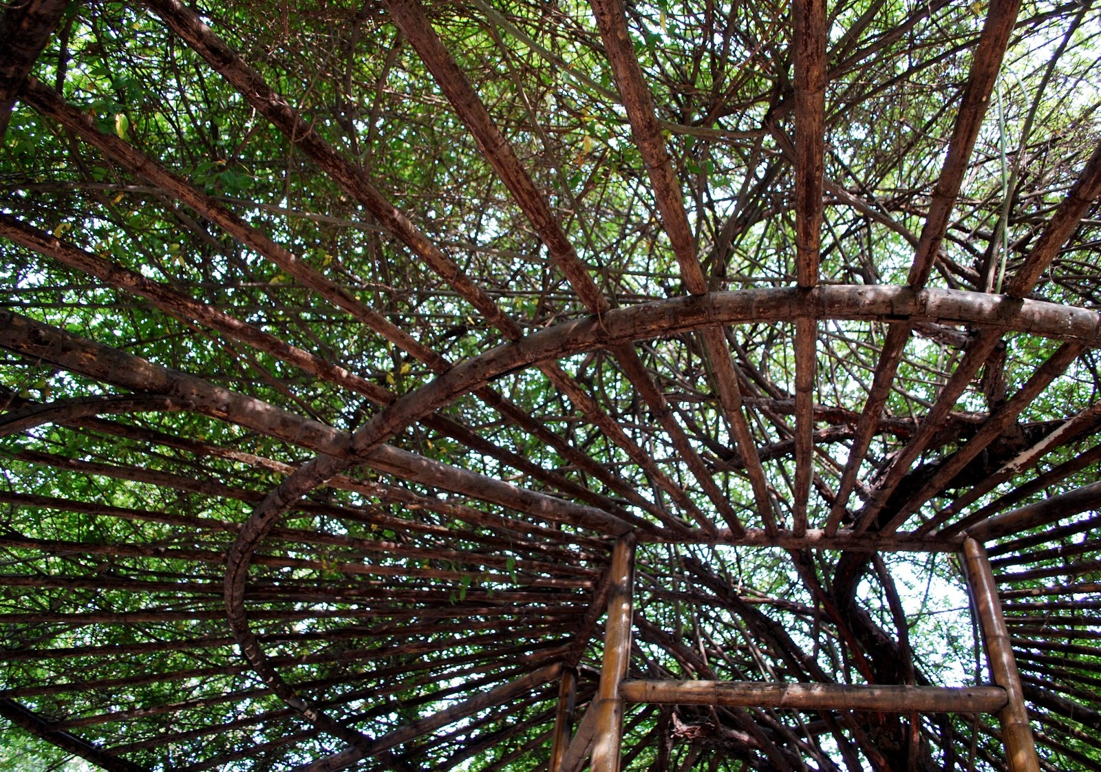 The Intercontinental Gardener Some bamboo structures from Suzhou