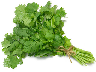 Coriander Ketumbar