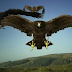 BIRDEMIC: SHOCK AND TERROR BIRDEMIC: SHOCK AND TERROR
