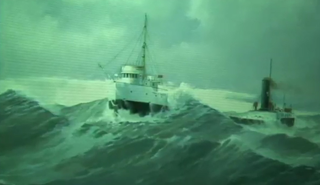 Can You Pass The Wildflowers Archives Test?