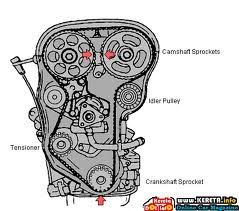 difference between drive belt and timing belt difference between drive belt and timing belt