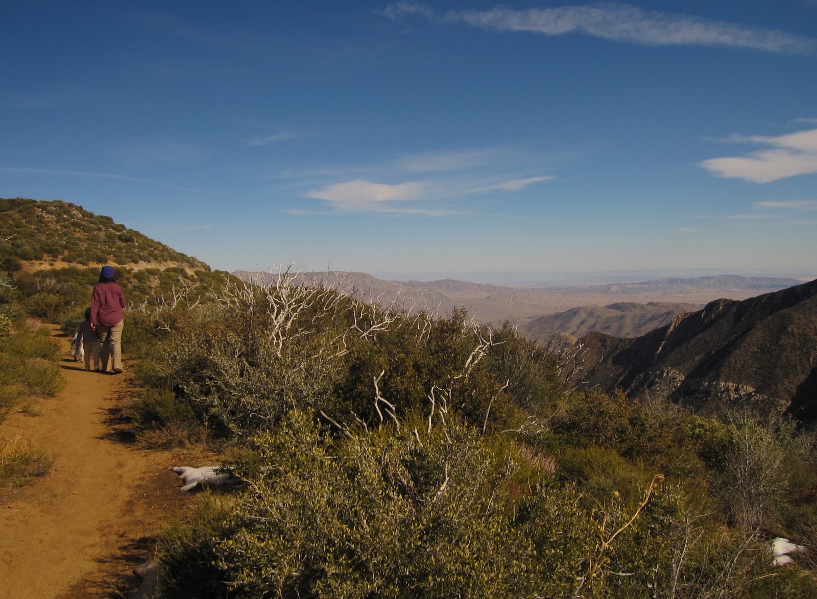 The Hikemasters' Trail Descriptions Peak, Laguna Mountains, San