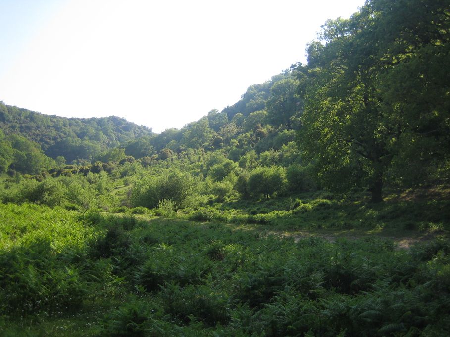 VOKAMPOS-012.jpg