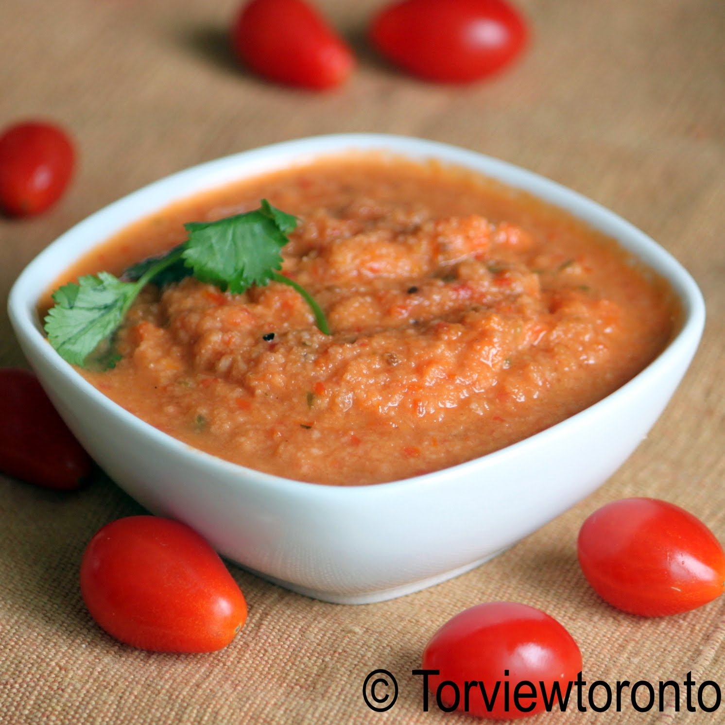 Torviewtoronto Tomato coconut chutney
