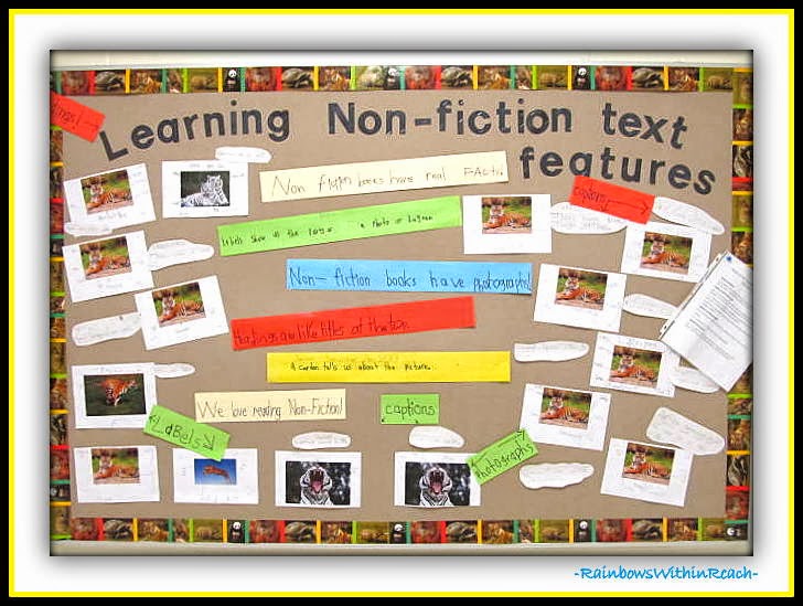 Definition and features of book report