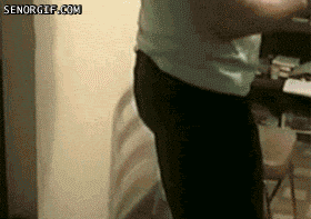 troll-dog-chair.gif