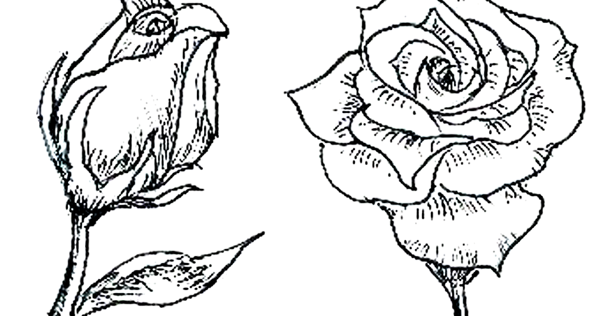 blumen bilder zum ausmalen
