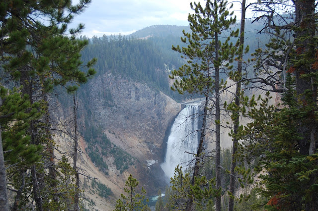 View of the Lower Falls of the Yellowstone River