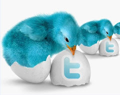 Follow Us On Twitter