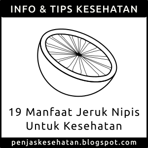 manfaat jeruk nipis serta cara mengolahnya manfaat jeruk nipis serta cara mengolahnya