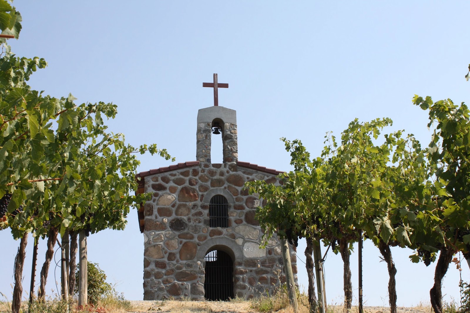 Washington Wine Icon Red Willow Vineyard The Northwest Wine Anthem