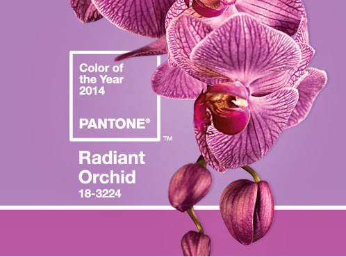 pantone color of the year 2014 radiant orchid