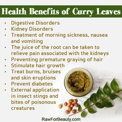 benefit of leaves Plants have been used as both food and medicine since the beginning of our human journey on this planet, as far as we know it for centuries we have been using plant. benefit of leaves Plants have been used as both food and medicine since the beginning of our human journey on this planet, as far as we know it for centuries we have been using plant.