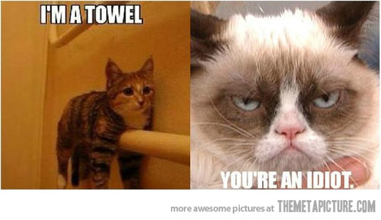 funny-Grumpy-cat-towel-meme.jpg