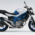 Suzuki SFV650A Motosiklet