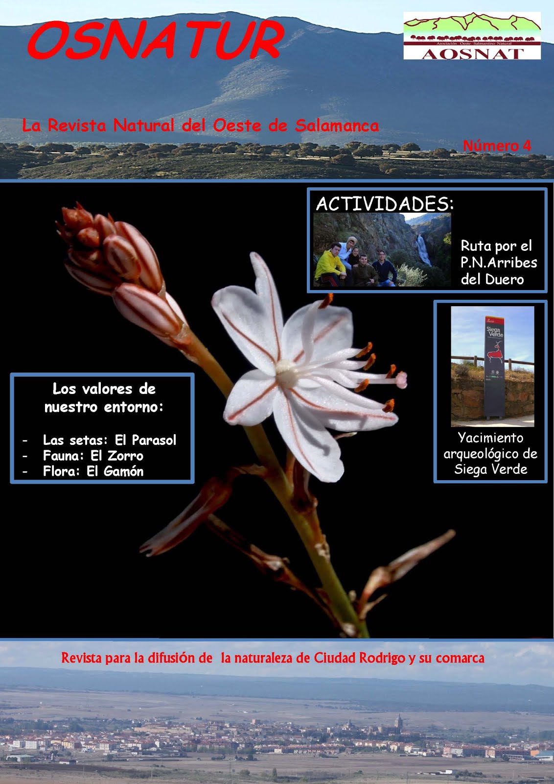 Revista Osnatur Nº 4