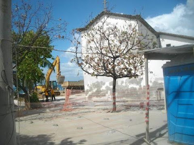 Morador quer que a prefeitura substitua as árvores do Largo de Santana Morador quer que a prefeitura substitua as árvores do Largo de Santana