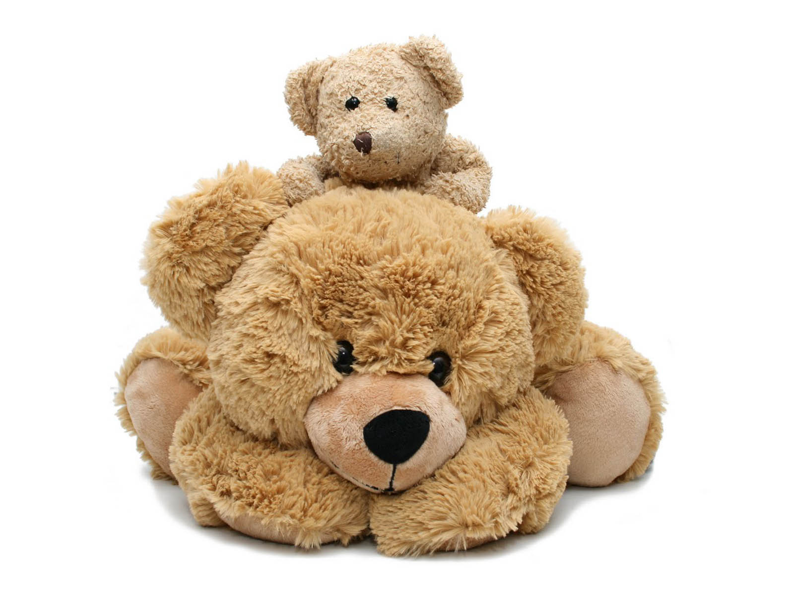 HD Wallpapers: Teddy Bear Pictures