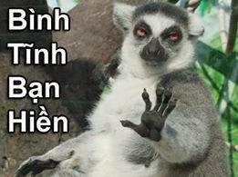 Cmt facebook bằng hình ảnh vui VCL