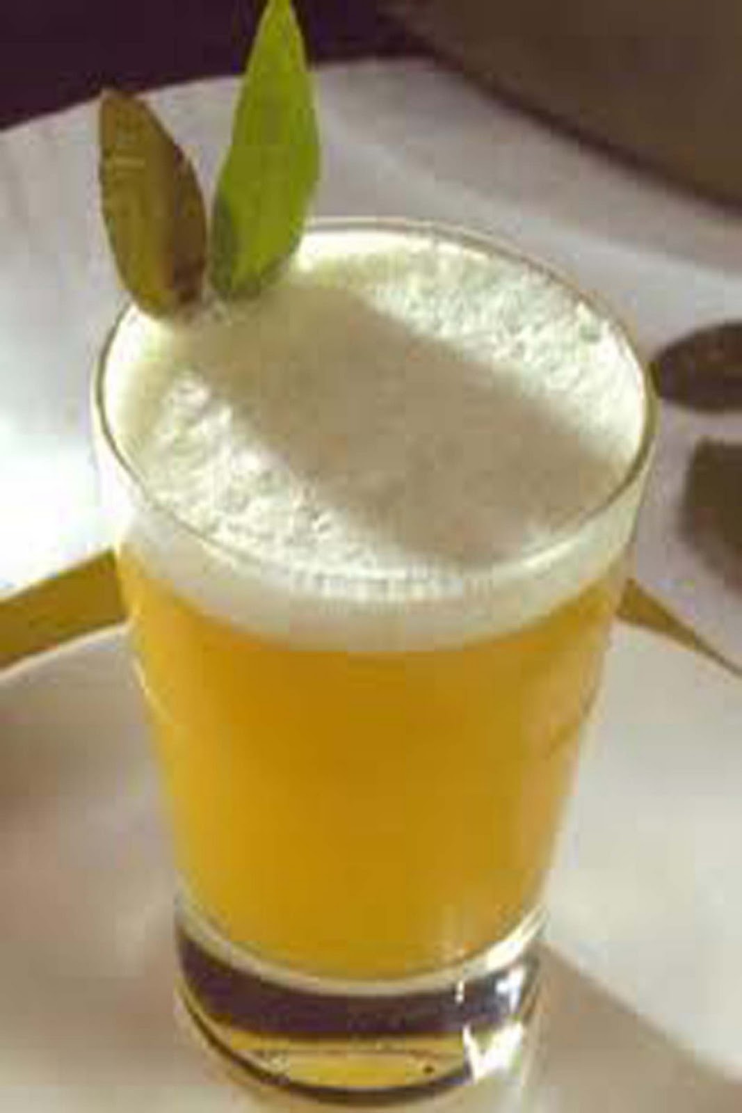 Coctel con hojas de coca y pisco el Coca Sour