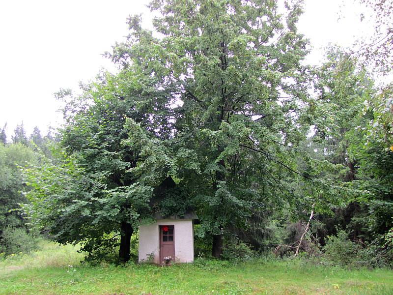 Sedlo nad Bitalovcami (840 m n.p.m.) - kapliczka. Sedlo nad Bitalovcami (840 m n.p.m.) - kapliczka.