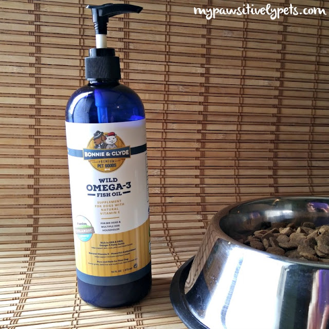 Giving Human Fish Oil To Dogs Giving Human Fish Oil To Dogs