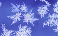 snow-flakes-and-frost-wallpaper-6