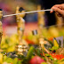 At this Full-moon Day do all Buddhas Awaken