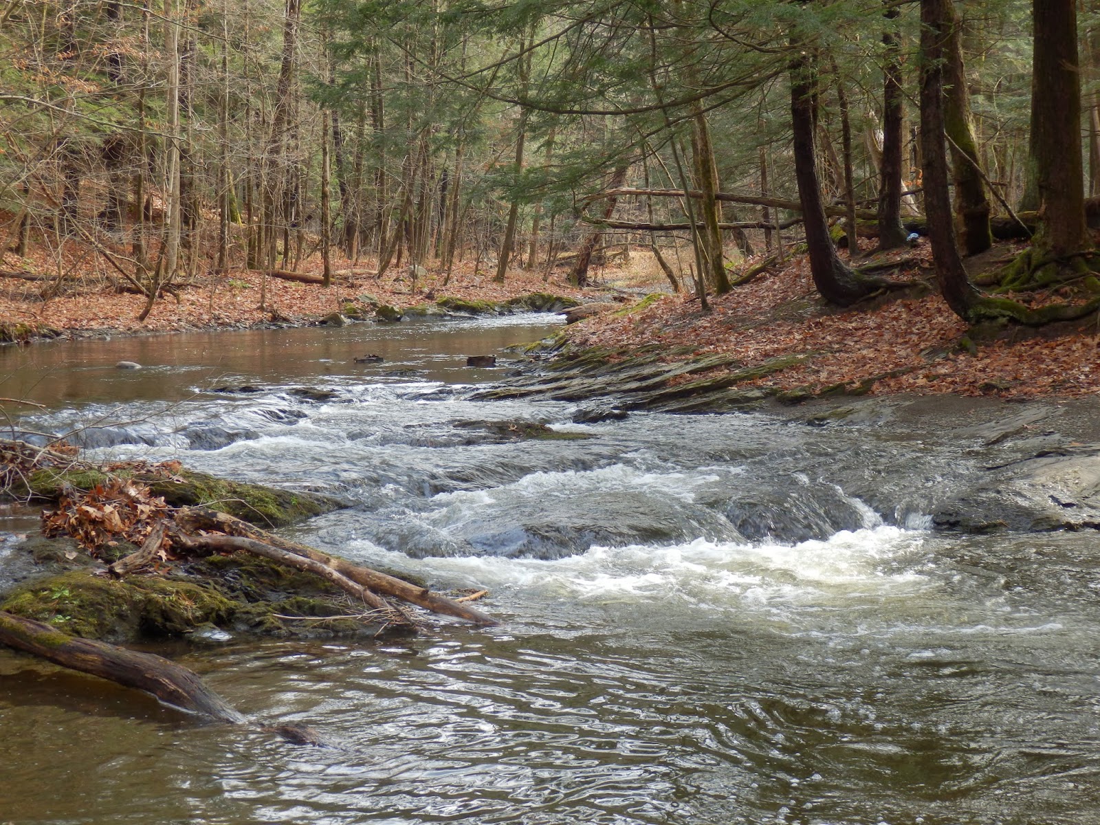 Walking Man 24 7 Schodack Town Park