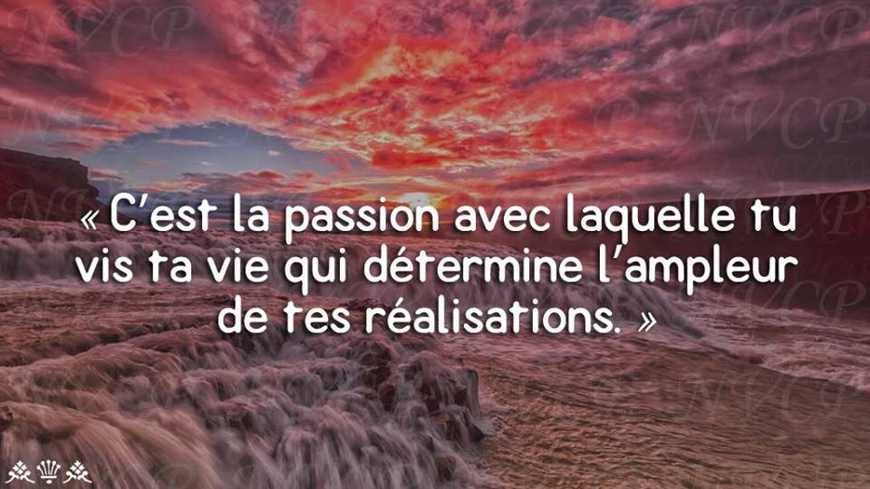 LES PANNEAUX ROSES de JOSETTE SAUTHIER Vis ta passion