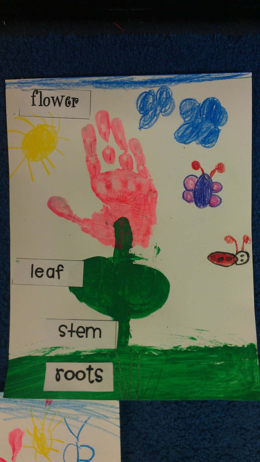 Kindergarten Schmindergarten Plant fun!