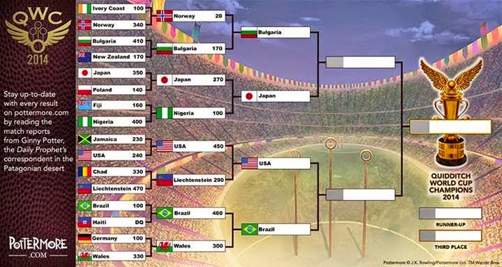QUIDDITCH WORLD CUP CAMPIONSHIP 2014