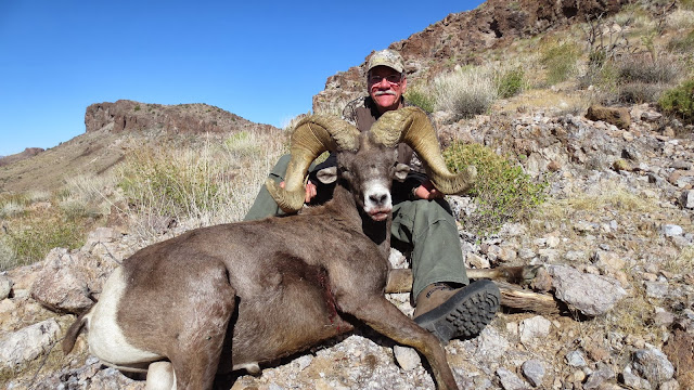 Arizona+Super+Raffle+Desert+Bighorn+Sheep+Hunt++Photo+Monster+ram+with+Colburn+and+Scott+Outfitters+3.JPG