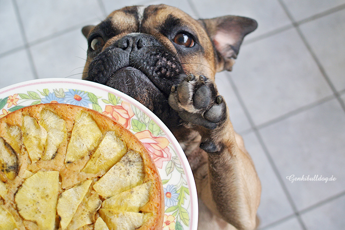 Süßkartoffel Kuchen für Hunde backen Süßkartoffel Kuchen für Hunde backen
