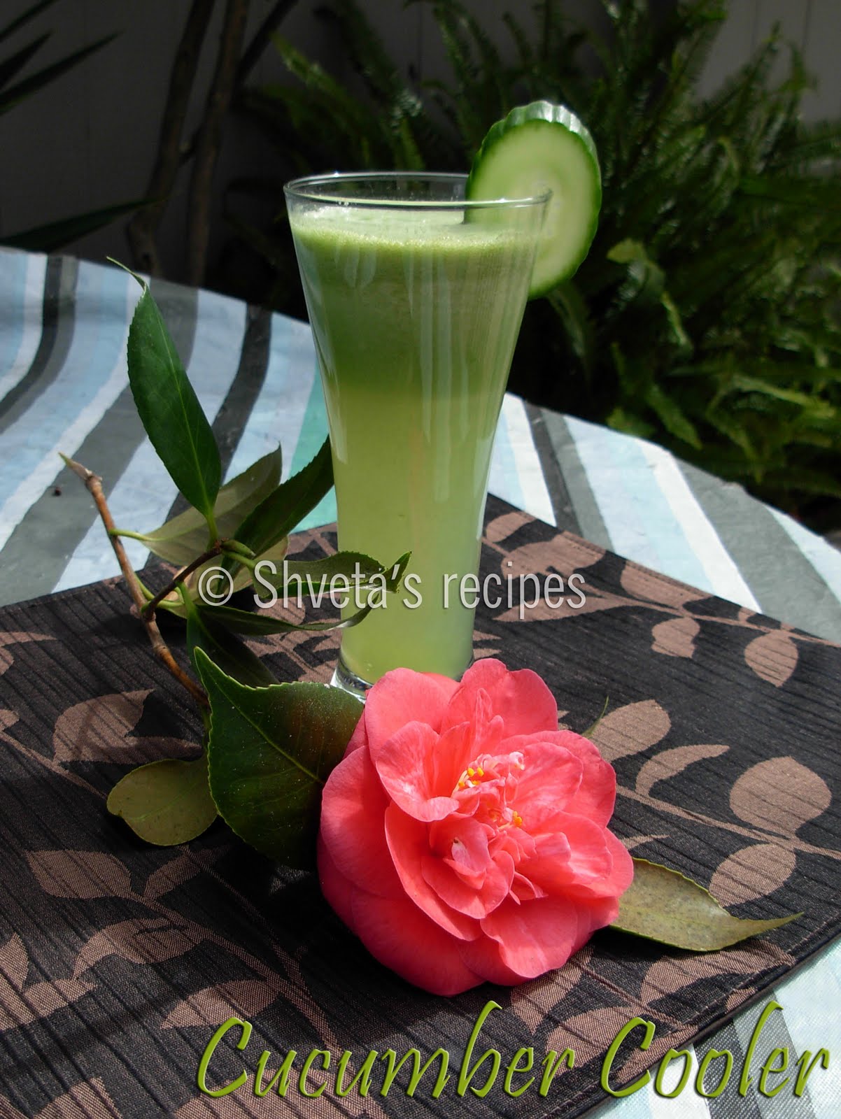 Shveta's Recipes Cucumber cooler drink