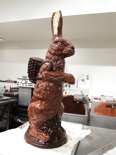 chocolate bunny cartoon. foot tall chocolate bunny!