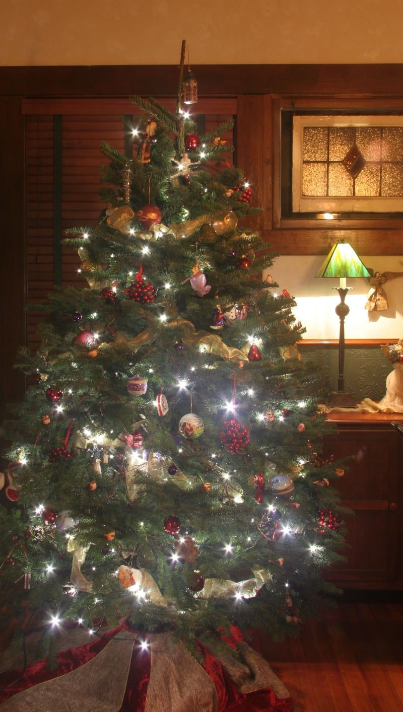 Christmas Trees Without Ornaments jungle red writers: o christmas tree--how green art thou? Christmas Trees Without Ornaments jungle red writers: o christmas tree--how green art thou?