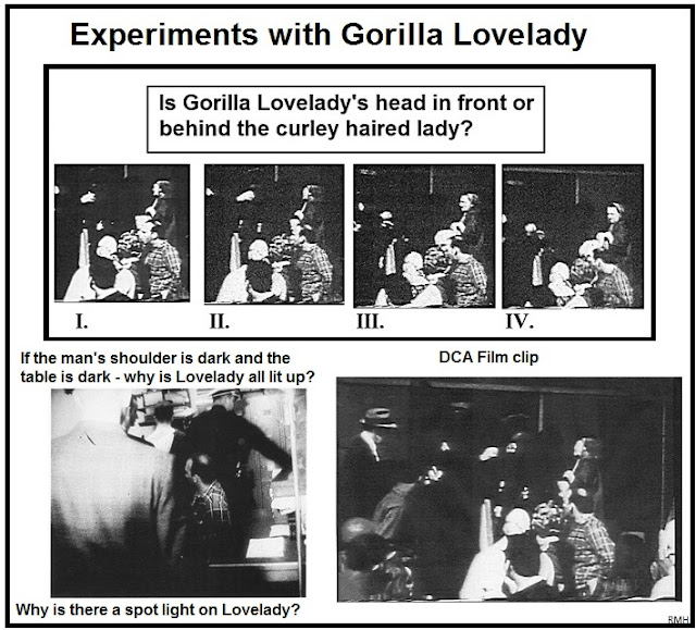 LOVELADY+-+GORILLA+EXPERIMENTS.jpg