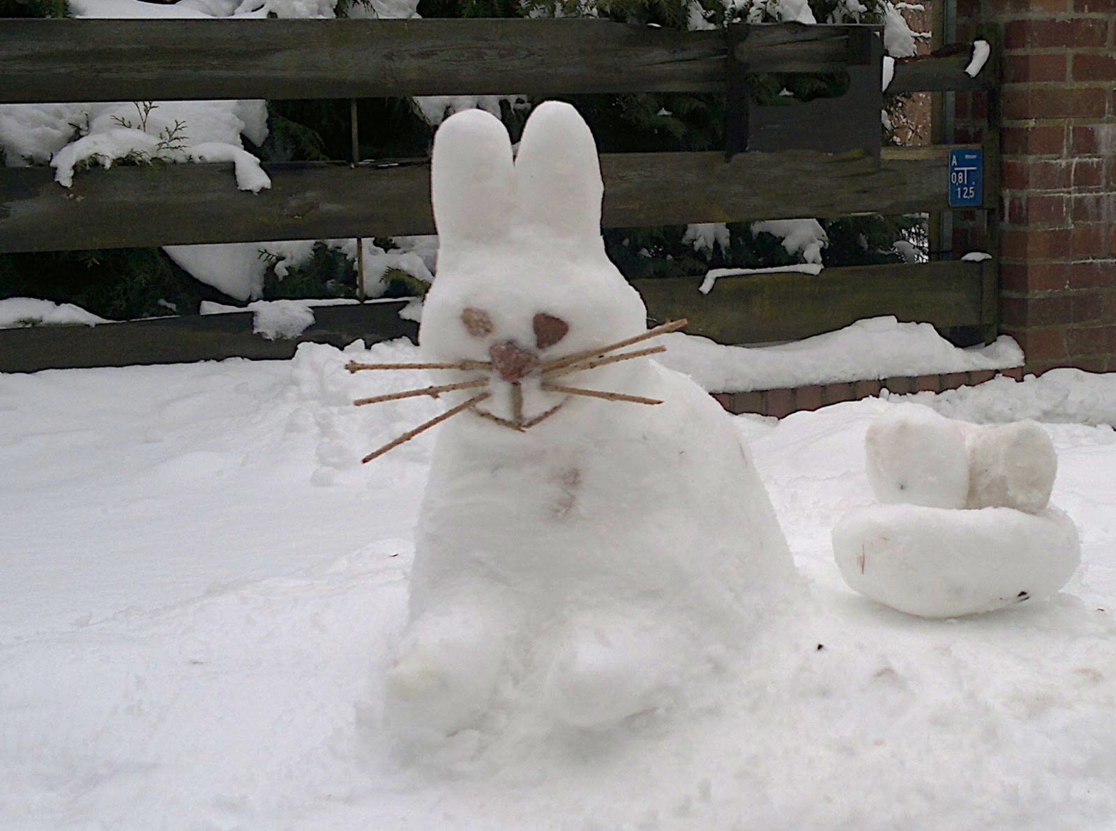 Feuerwehr Bernau Rettet 2 Personen Aus Dem Wasser