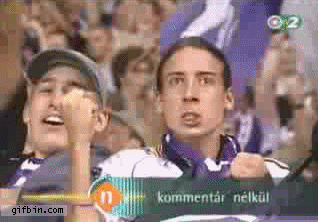 1306866543_supporter_face.gif