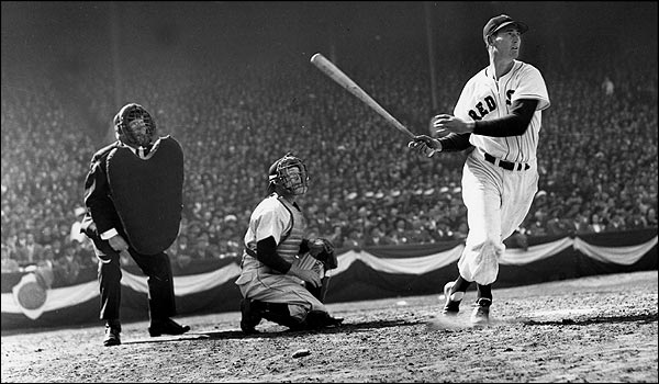 ted williams essay ted williams essay